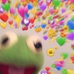 Meet your Posher, Paola